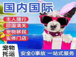 包头东河空运国际宠物托运 【国